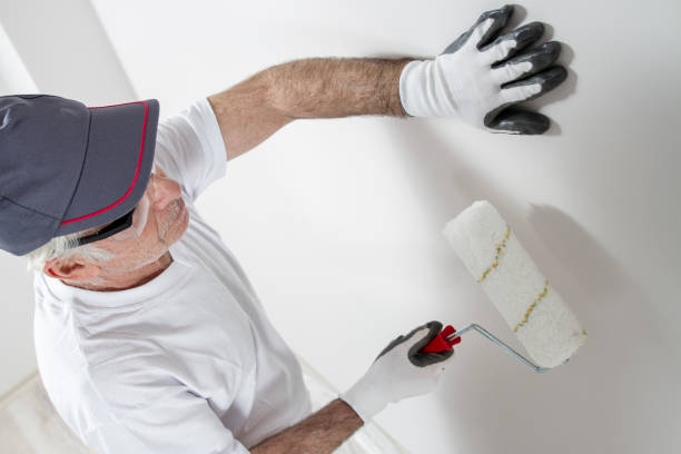 Best Mold Prevention Services  in Saint Johns University, MN