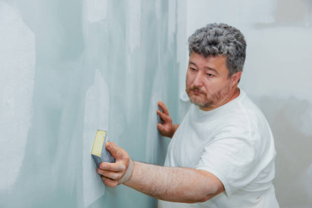 Reliable Saint Johns University, MN Mold Removal Solutions