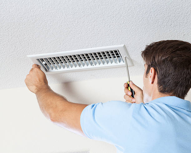 Best Mold Documentation for Insurance Claims  in Saint Johns University, MN