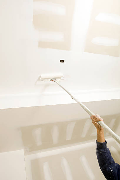 Best Mold Odor Removal Services  in Saint Johns University, MN