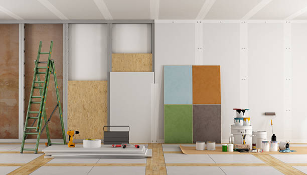 Best Post-Construction Mold Inspection  in Saint Johns University, MN