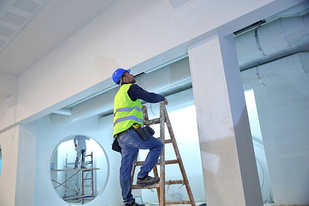 Best Emergency Mold Remediation  in Saint Johns University, MN
